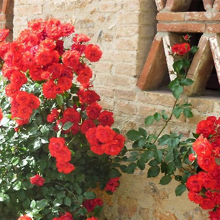 Fattoria Agriturismo Nerbona Casole d'Elsa Ngoại thất bức ảnh