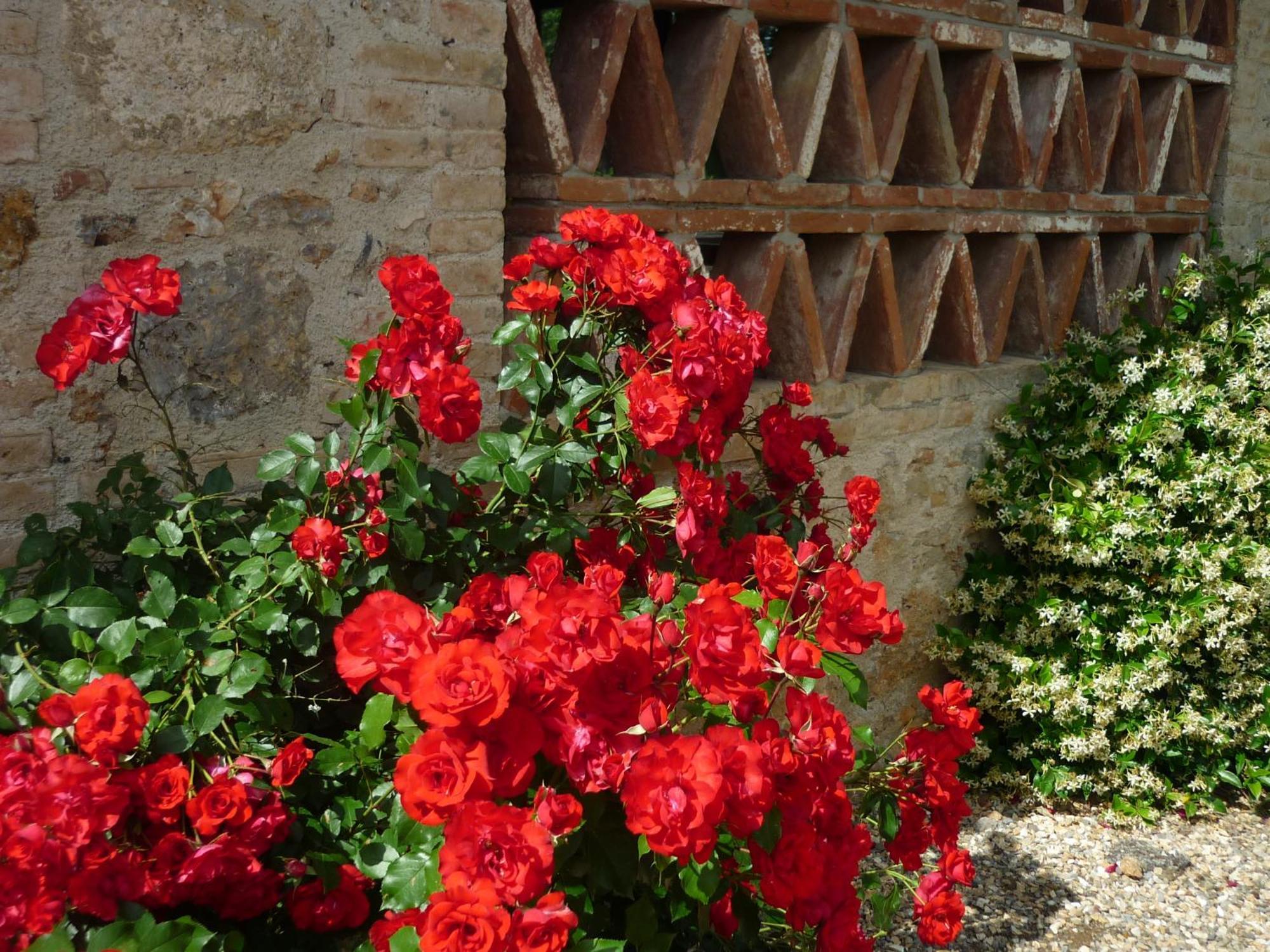 Fattoria Agriturismo Nerbona Casole d'Elsa Ngoại thất bức ảnh