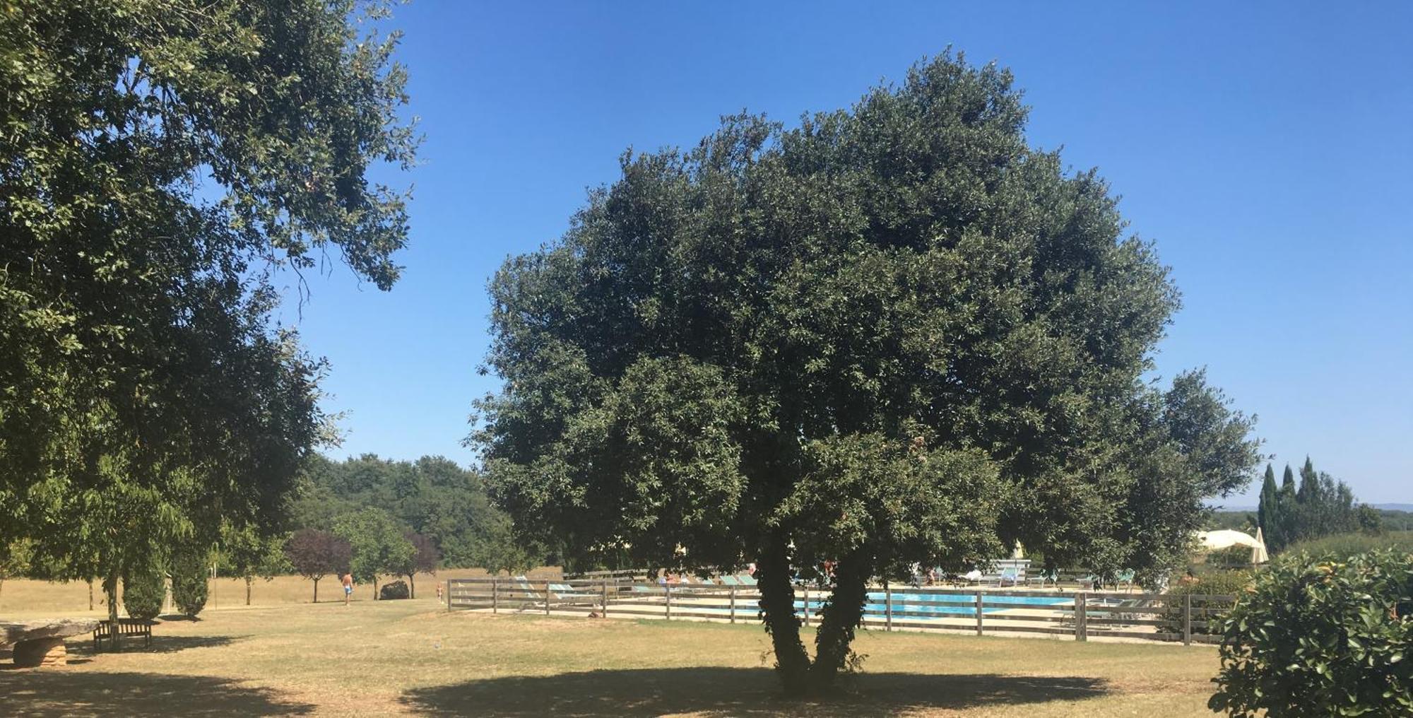 Fattoria Agriturismo Nerbona Casole d'Elsa Ngoại thất bức ảnh