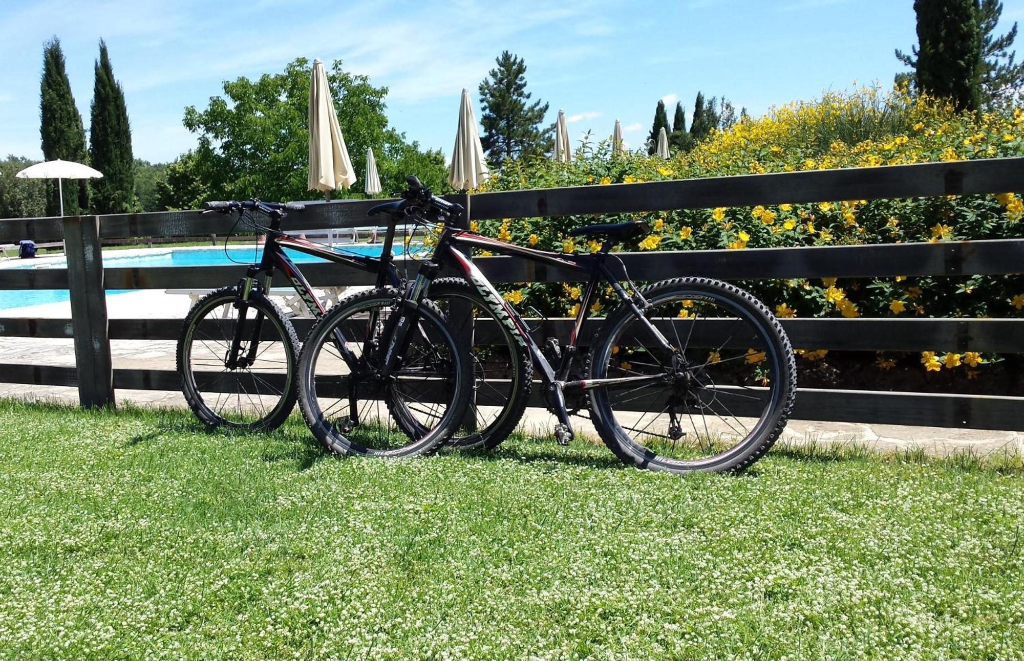 Fattoria Agriturismo Nerbona Casole d'Elsa Ngoại thất bức ảnh