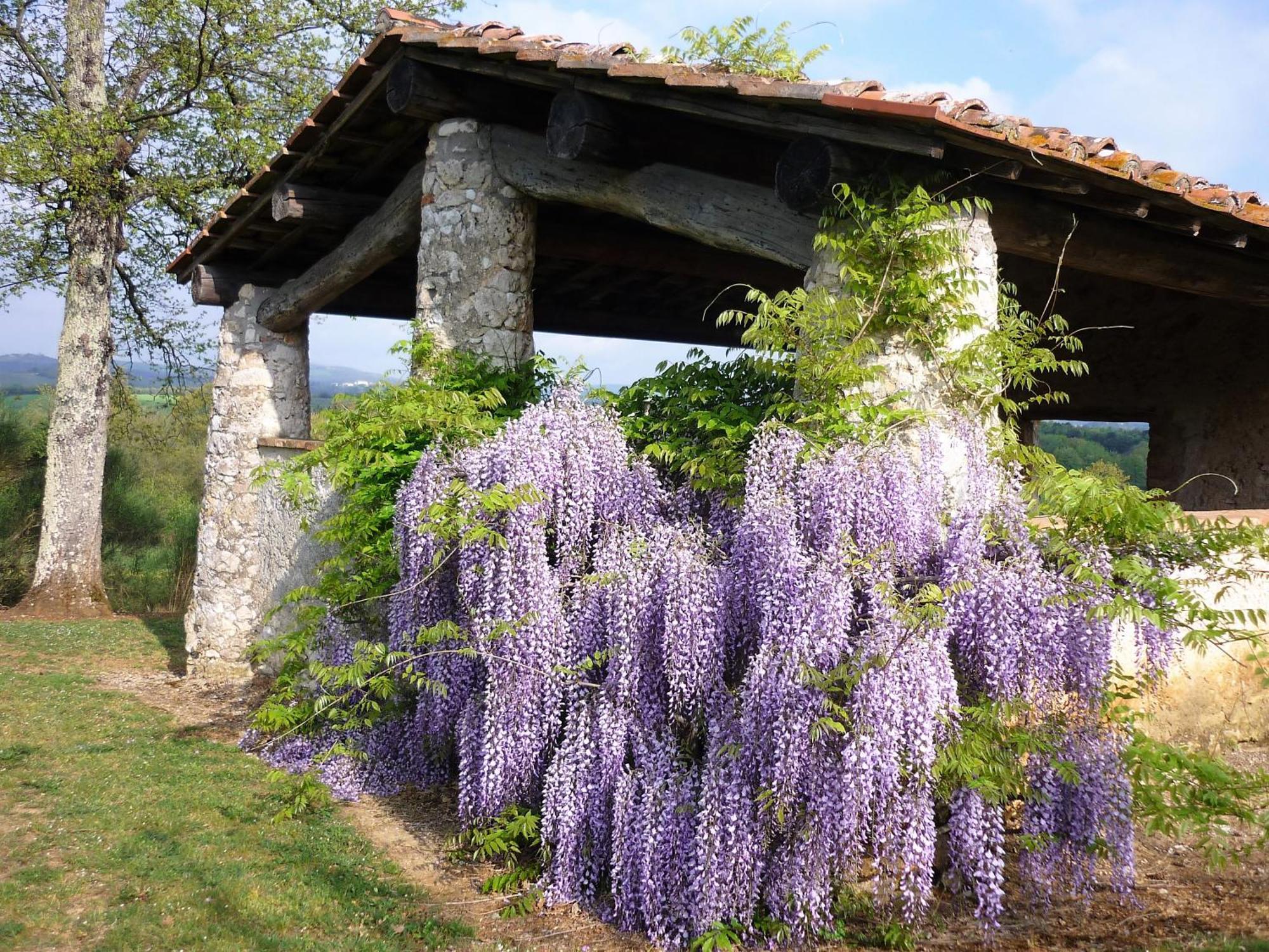 Fattoria Agriturismo Nerbona Casole d'Elsa Ngoại thất bức ảnh