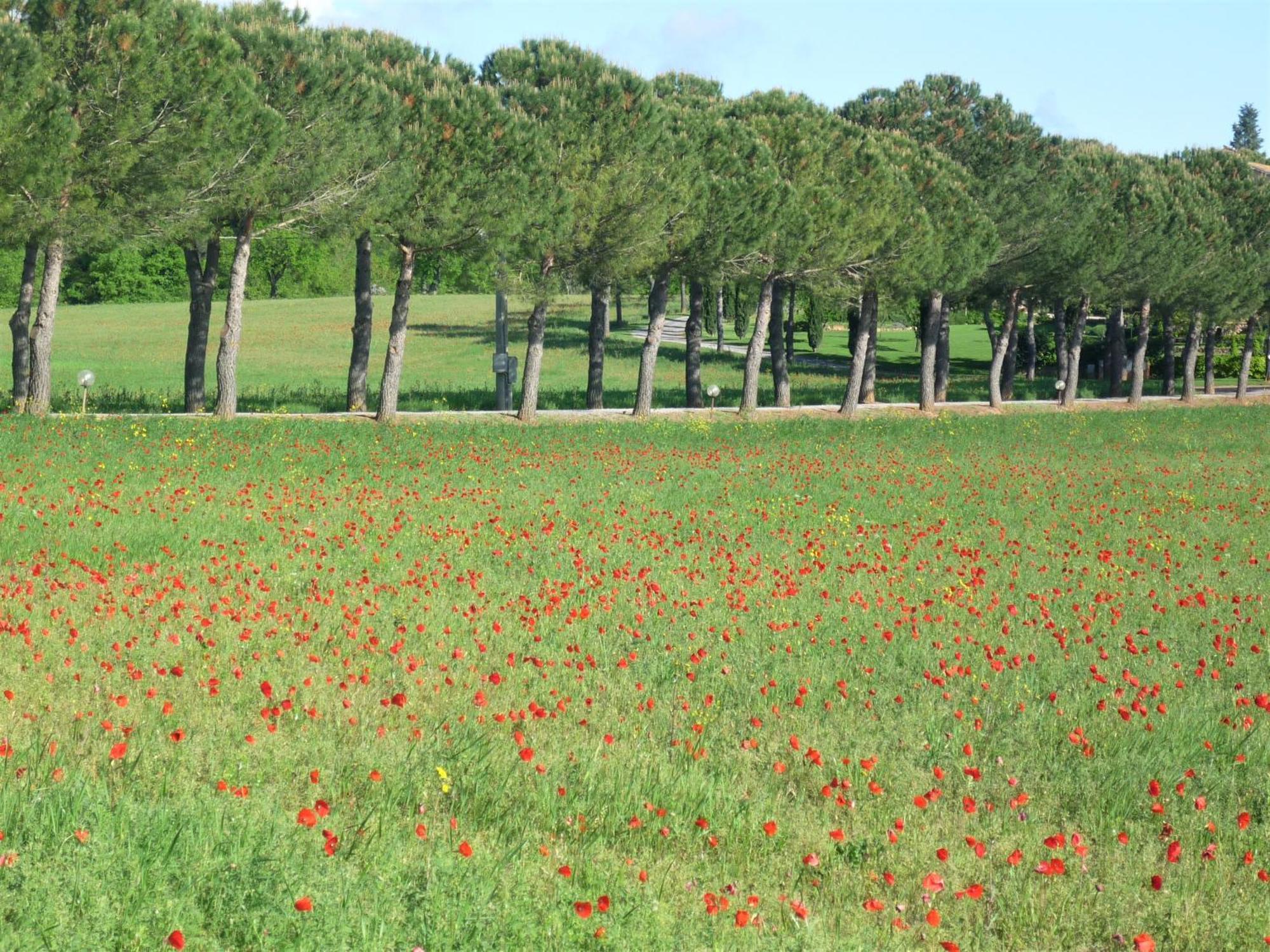 Fattoria Agriturismo Nerbona Casole d'Elsa Ngoại thất bức ảnh