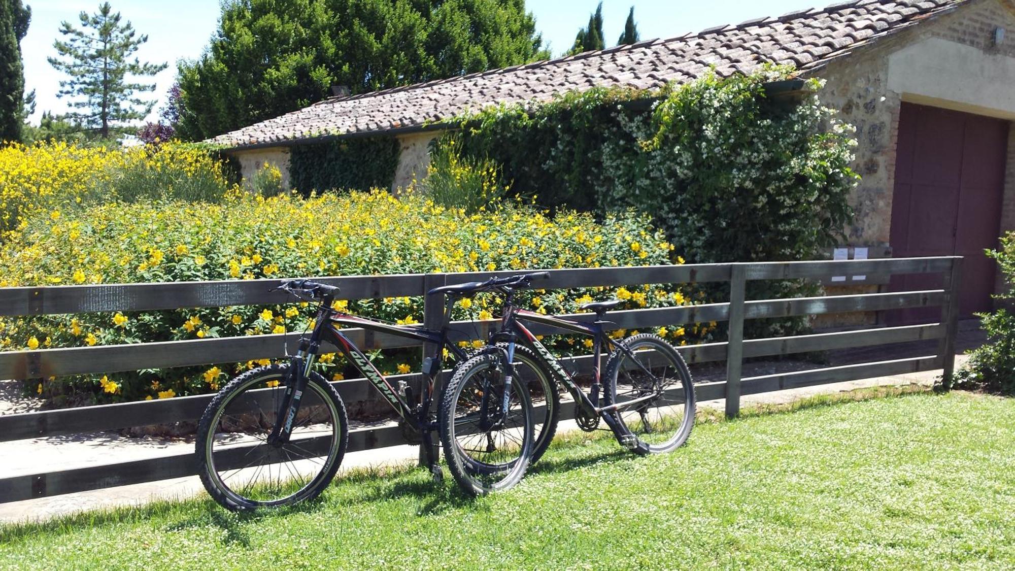 Fattoria Agriturismo Nerbona Casole d'Elsa Ngoại thất bức ảnh