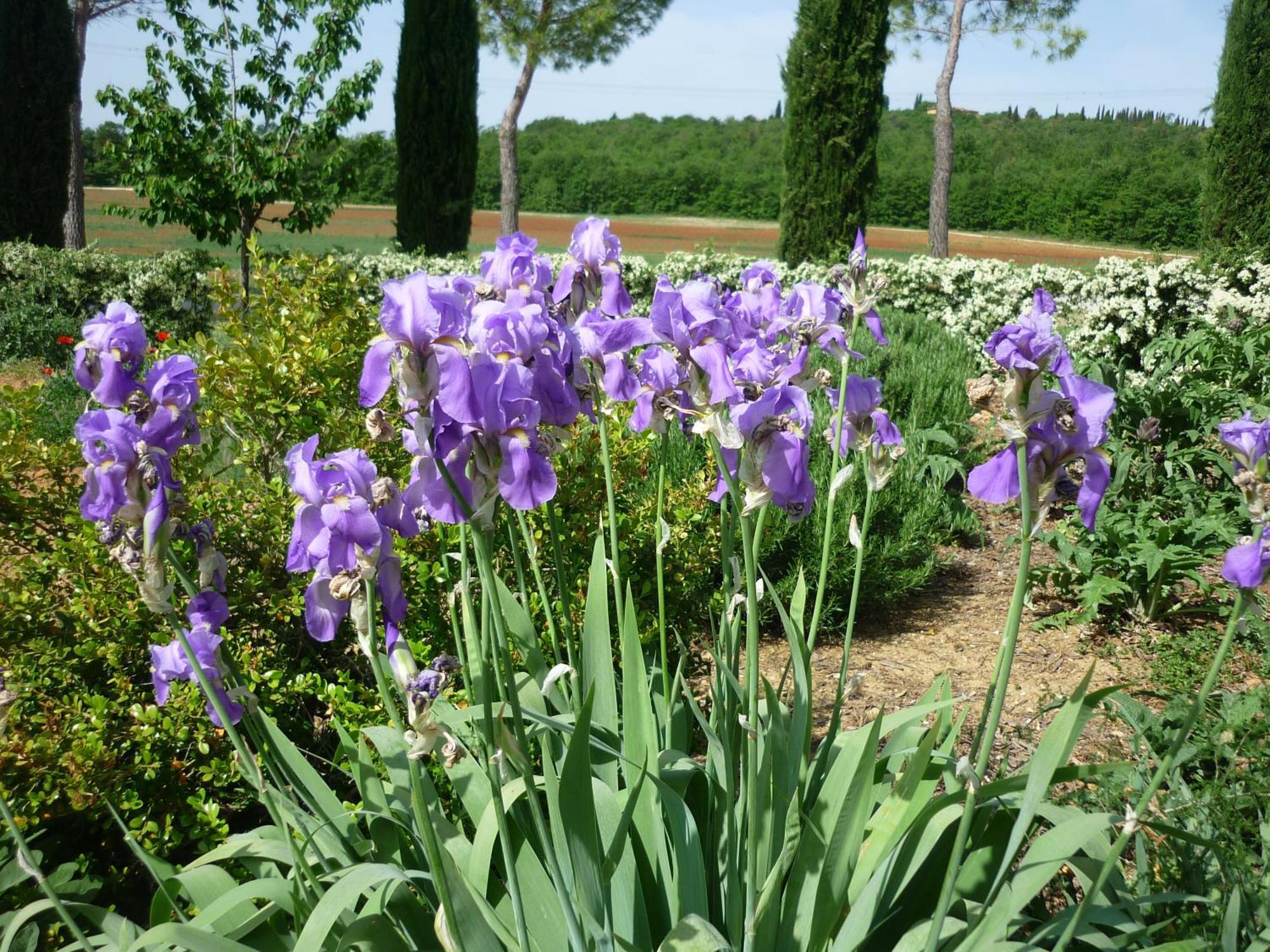 Fattoria Agriturismo Nerbona Casole d'Elsa Ngoại thất bức ảnh