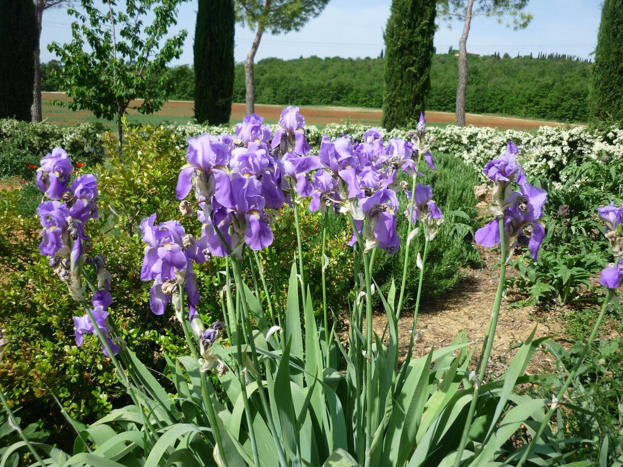 Fattoria Agriturismo Nerbona Villa Casole d'Elsa Ngoại thất bức ảnh