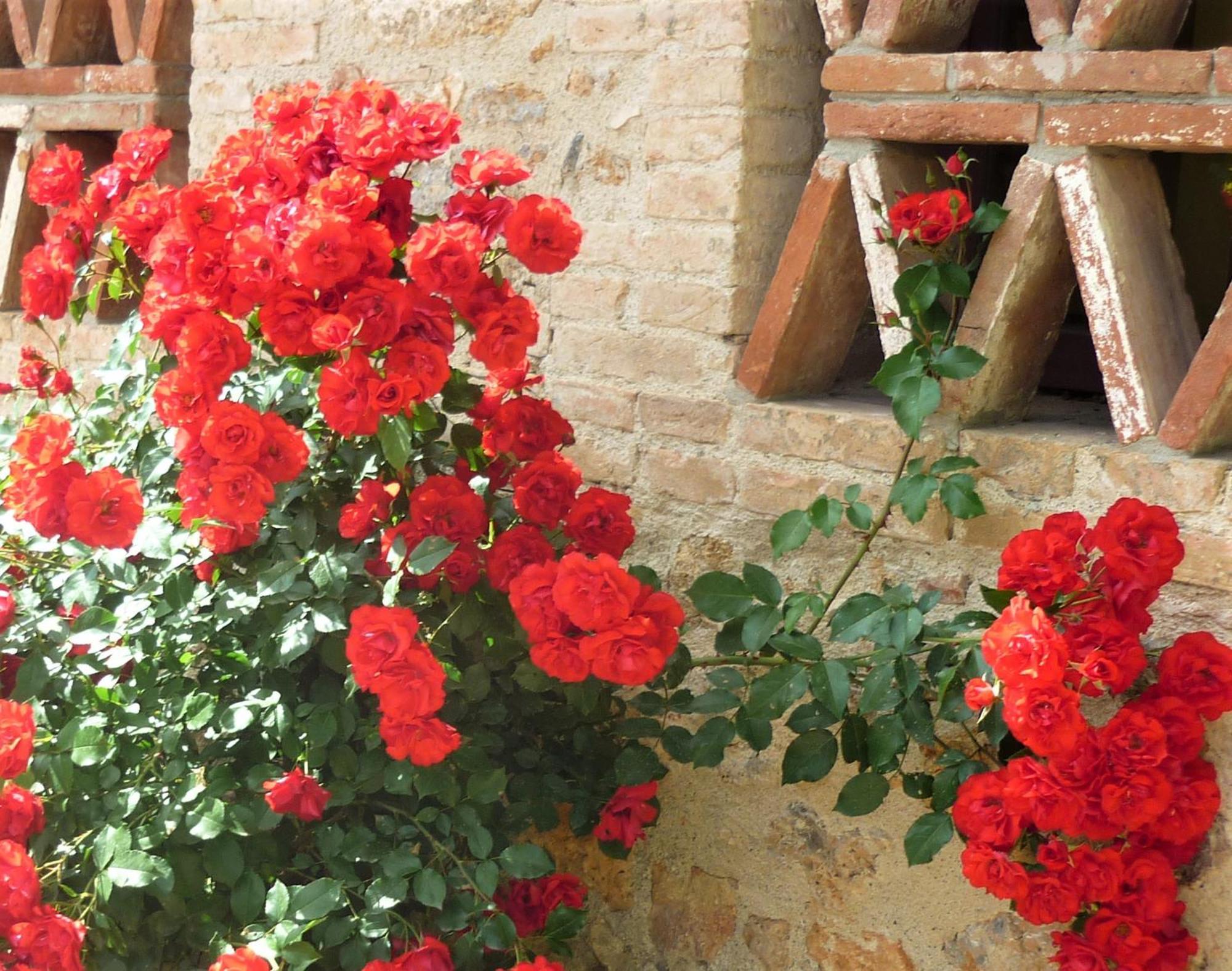 Fattoria Agriturismo Nerbona Casole d'Elsa Ngoại thất bức ảnh