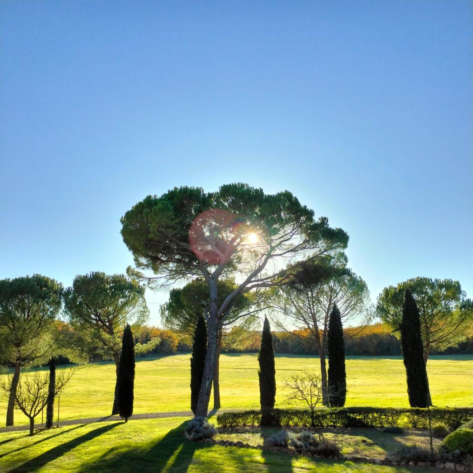 Fattoria Agriturismo Nerbona Casole d'Elsa Ngoại thất bức ảnh